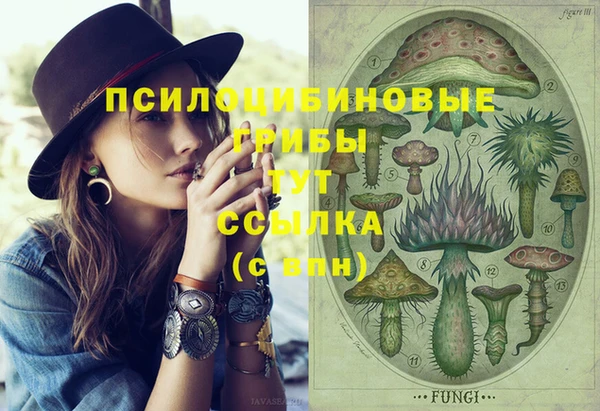 mix Аркадак