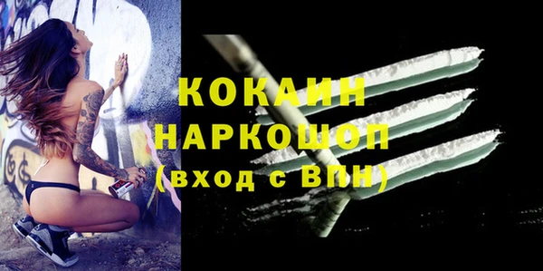 молекула духа Арсеньев