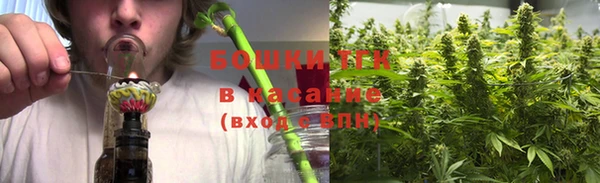 молекула духа Арсеньев