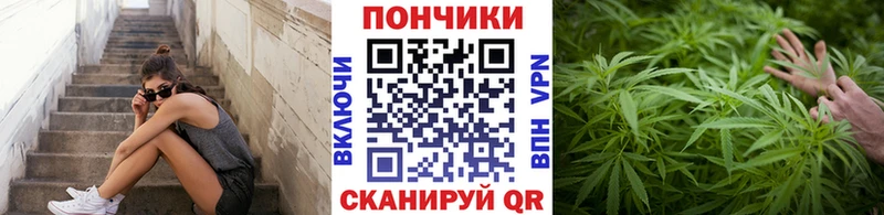 Канабис OG Kush  OMG маркетплейс  Нижняя Салда  где продают наркотики 